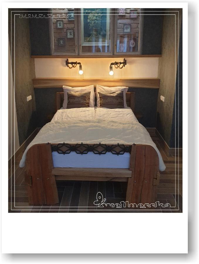 Wellnesska Vyhne Villa Luaran gambar