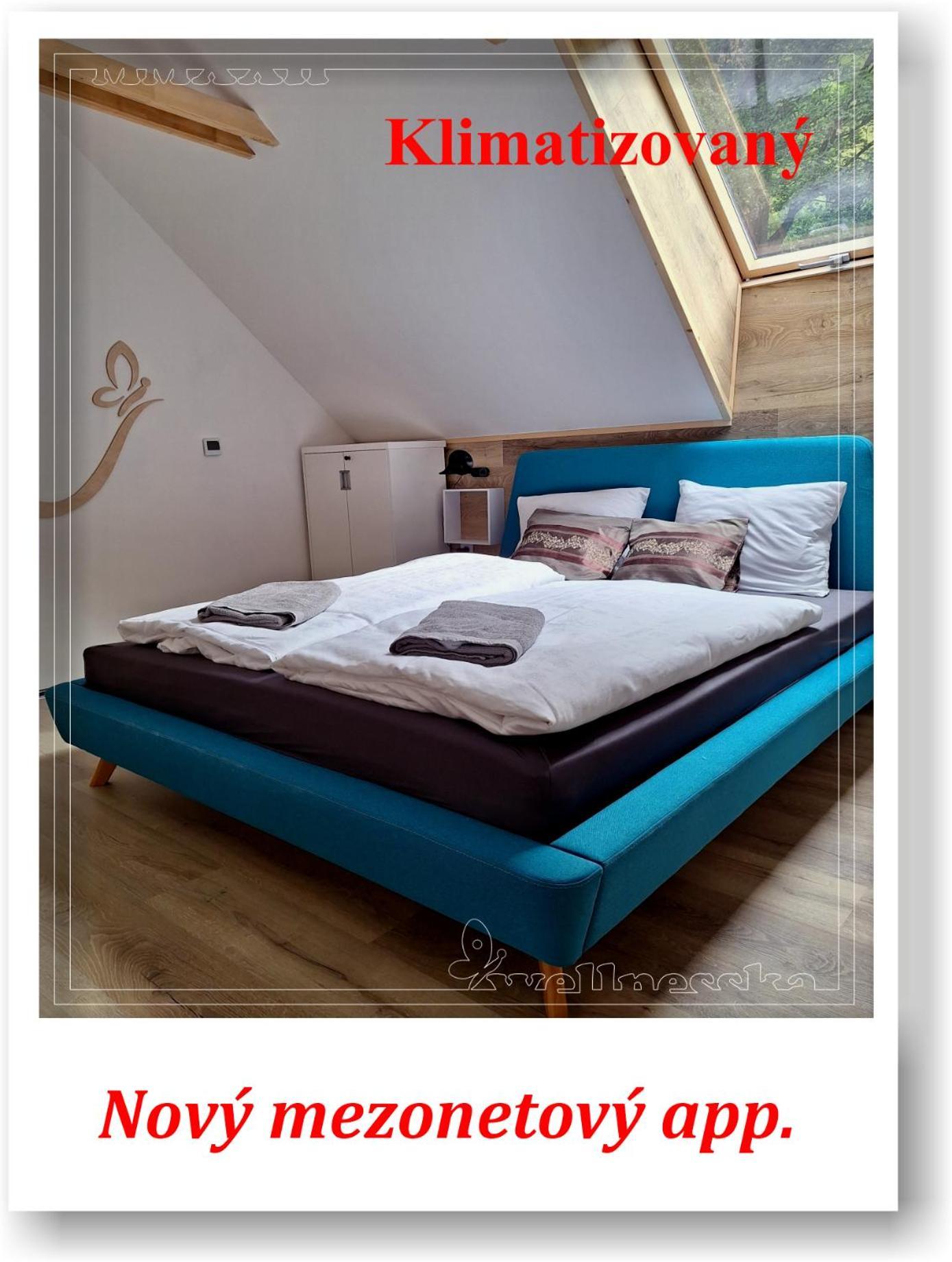 Wellnesska Vyhne Villa Luaran gambar